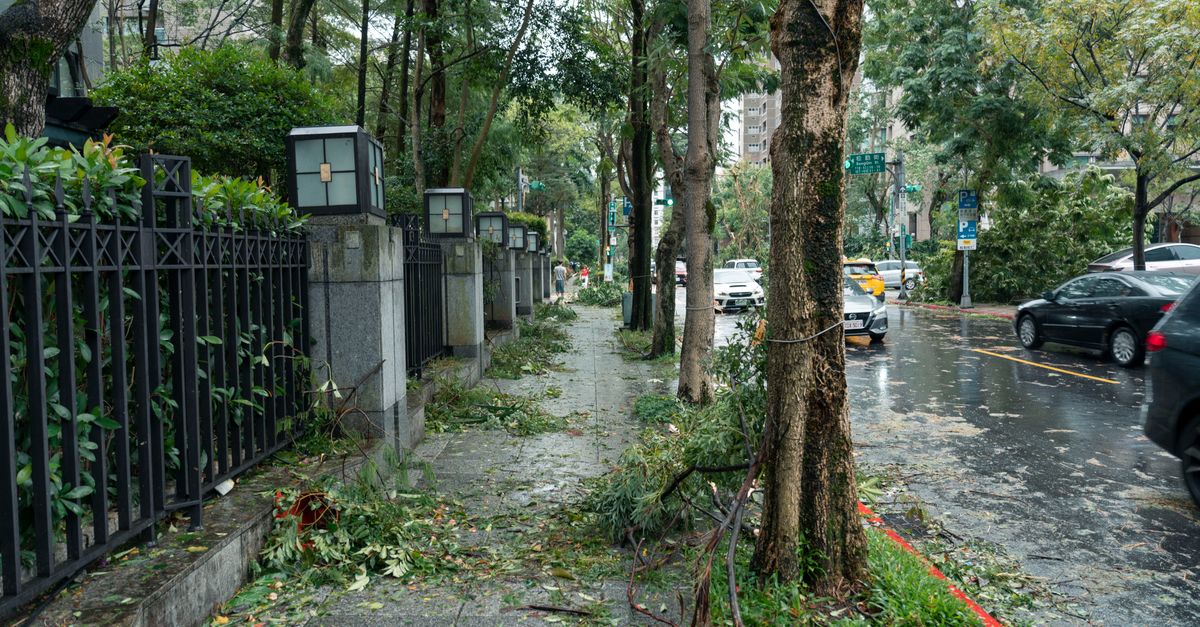 Grêle, inondation, tempête : assurance et catastrophes naturelles